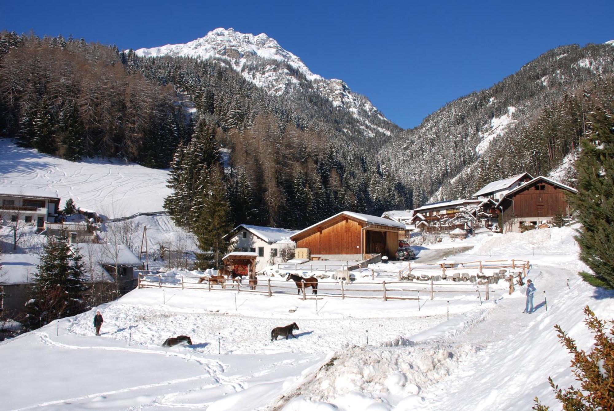 Kassnhof - Urlaub In Den Bergen Telfes im Stubai Exterior foto