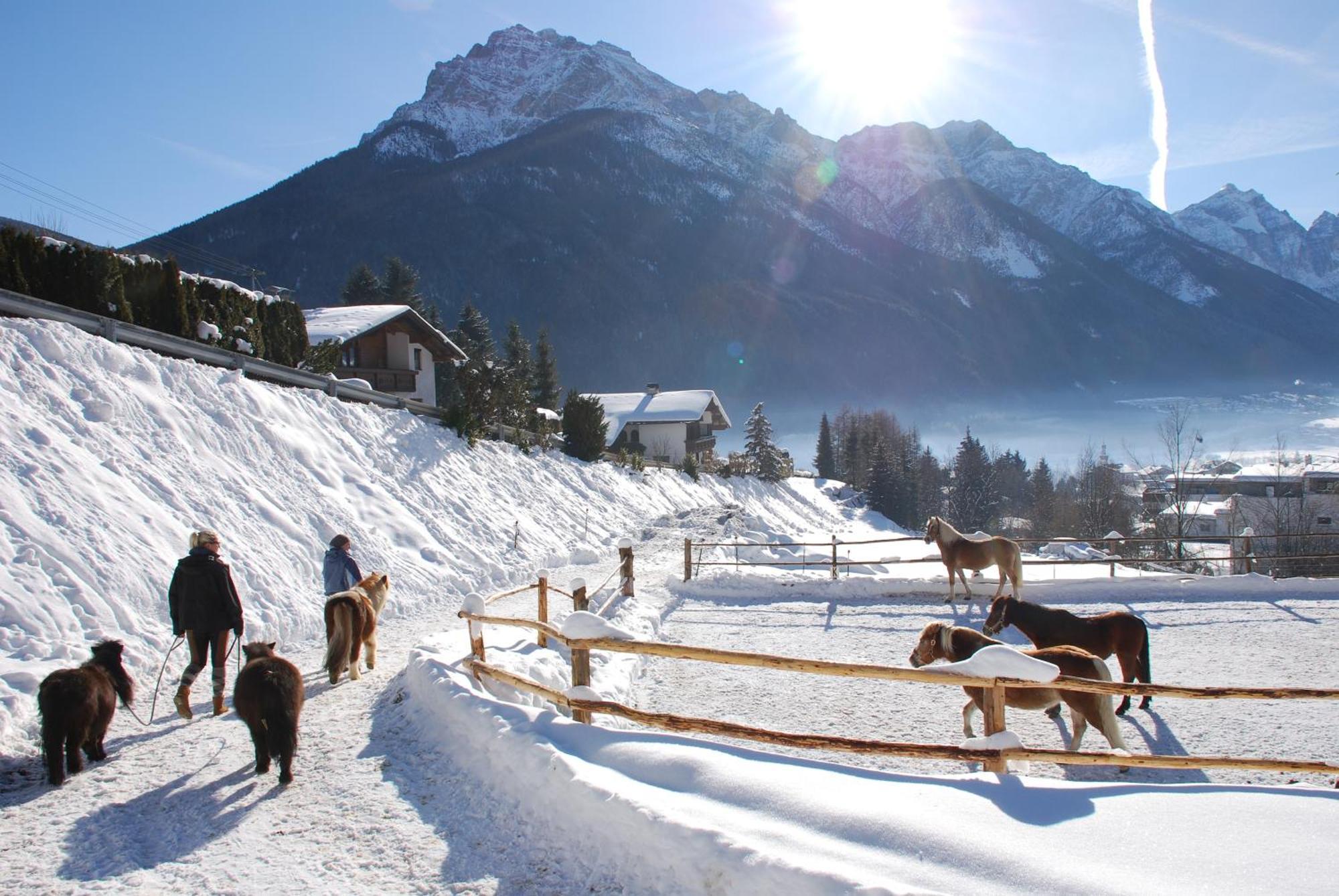 Kassnhof - Urlaub In Den Bergen Telfes im Stubai Exterior foto