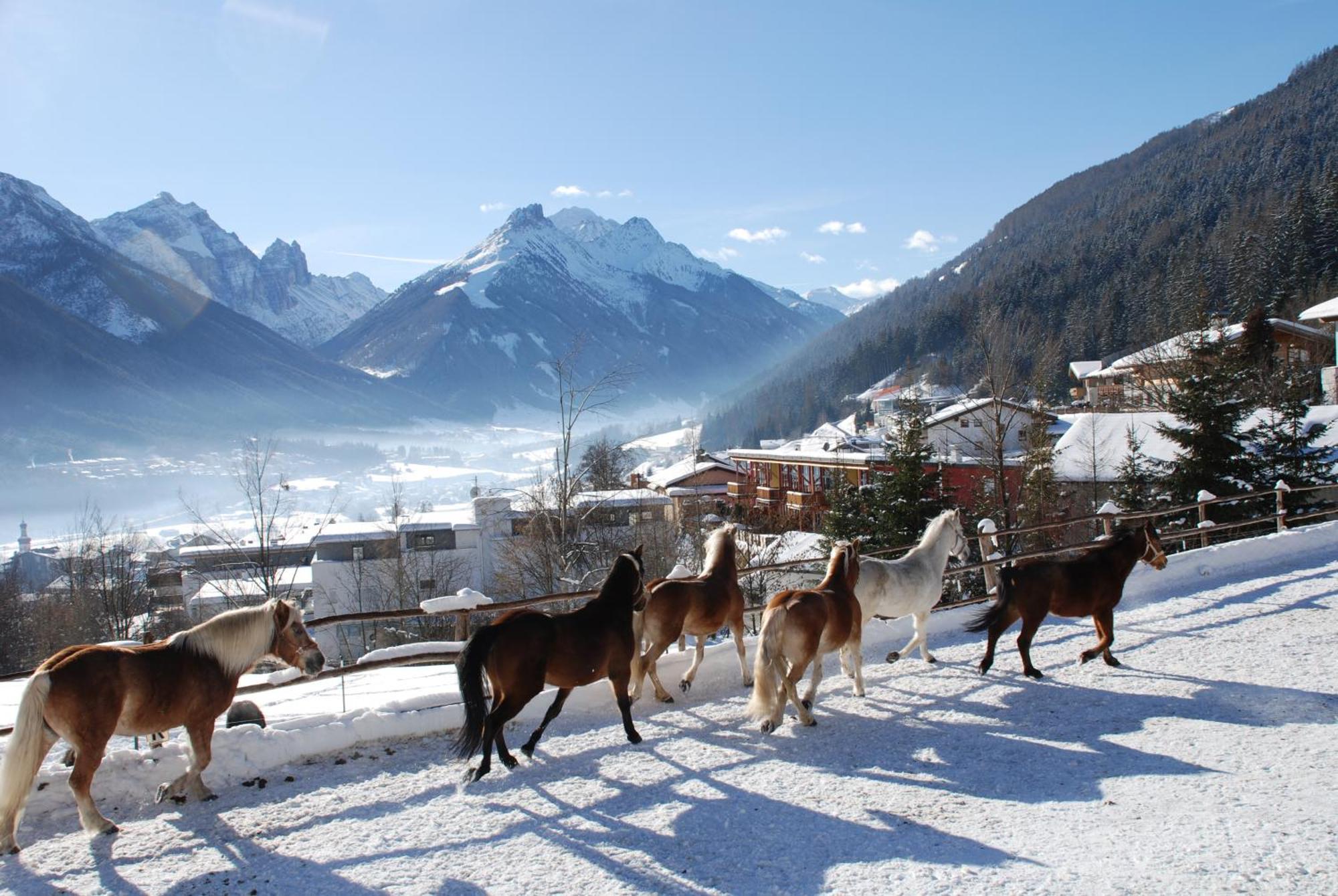 Kassnhof - Urlaub In Den Bergen Telfes im Stubai Exterior foto